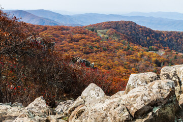 Fall Color on Stony Man Mountain, Shenandoah National Park, Virginia,USA