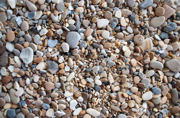Background of small stones and seashells for your ideas