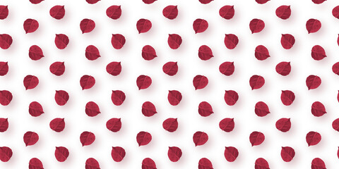 Ruby leafs in white background