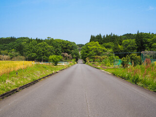 道003