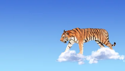 Horizontales Banner mit Elefanten über Wolken © frenta