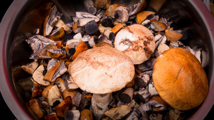 Fresh natural mushrooms from the forest in a large Nickel-plated plate
