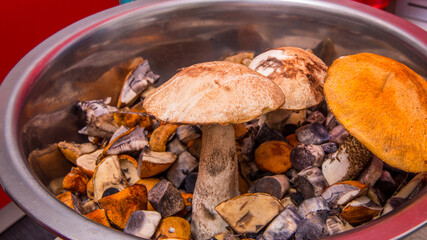 Fresh natural mushrooms from the forest in a large Nickel-plated plate
