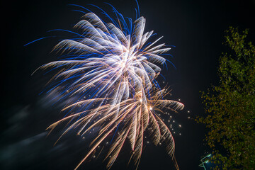 Fireworks salute in the sky