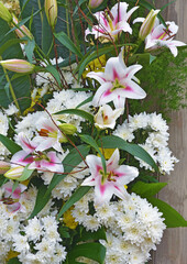 Floral arrangement of fresh flowers.