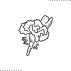 carnation bud, boutonniere vector icon in outline