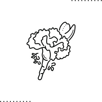 Carnation Bud, Boutonniere Vector Icon In Outline