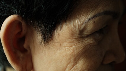 
Wrinkles beside the eyes Of old women.
