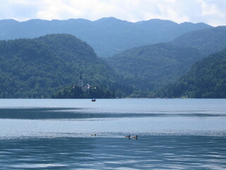 Lake Bled, Slovenia, Julian Alps, Island, Green mountains forest
