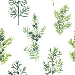 Pattern Christmas ornaments from the branches painted with watercolors on white background. Juniper, blue berries, Christmas tree branches