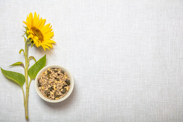 Beautifully decorated still life, layout on a white background, sunflower with green leaves and stem, seeds in a white plate, natural food concept