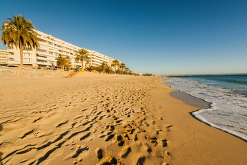 Paseo del Molinar, Palma, mallorca, islas baleares, españa, europa