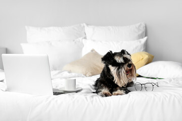 Cute dog and laptop on bed