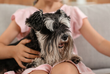 Cute dog with little girl at home