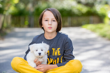 Child, cute boy, playing with dog pet in the park, maltese dog and kid enjoying friendship