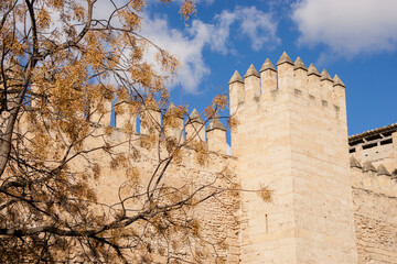 muralla árabe , siglo X- XII, Palma, Mallorca, islas baleares, españa, europa