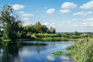 Fototapeta na wymiar Summer lake background. Small forest pond landscape. Holiday in rural Poland.