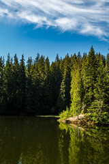 Fototapeta premium coniferous forest near the lake is reflected in the water. blue sky. Synevir Carpathians.