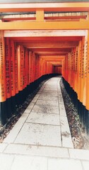 Portrait of the Fushimi Inari-taisha torii in Kyoto, Japan