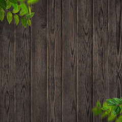 Old brown wooden wall and tree branch