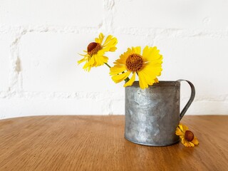 Yellow rudbekia flowers or coneflowers in an iron cup on a wooden table on a white background.