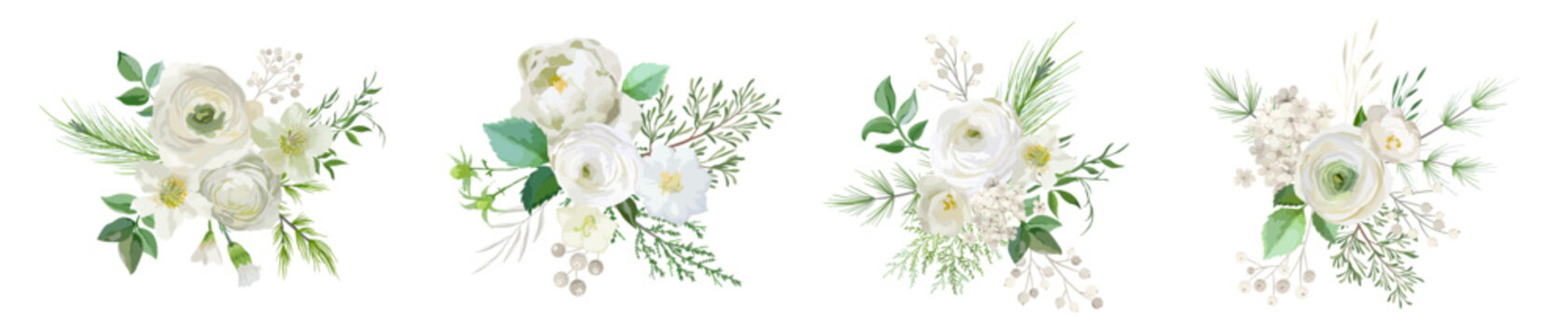 Elegant Winter bouquetes, Evergreen pine brunches, pale rose, white hydrangea, ranunculus flowers, eucalyptus, rowan berry, greenery leaves, floral elements. Vector isolated illustration set