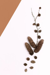 Spruce cone on design background. Top view. Autumn minimalist concept, Fall Autumn composition. Autumn aesthetic mood. Copy space
