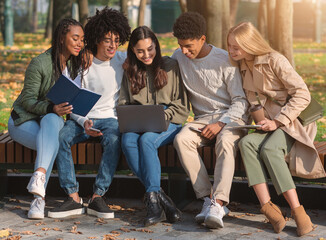 Multiracial friends working on educational project while resting in park