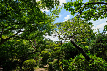 Obraz premium 【東京都】等々力渓谷【2020】