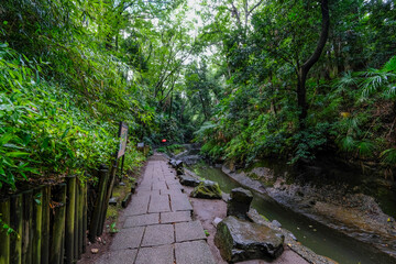 Obraz premium 【東京都】等々力渓谷【2020】