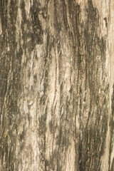 Si Thep Historical Park