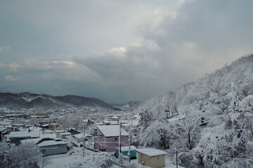 北海道の雪景色