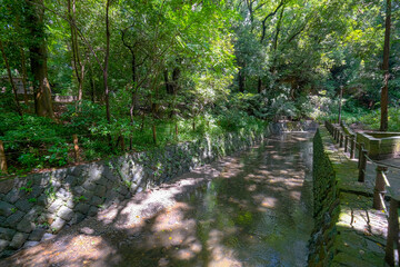 【東京都】等々力渓谷【2020】