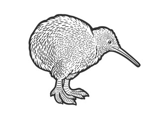 Kiwi bird sketch raster illustration