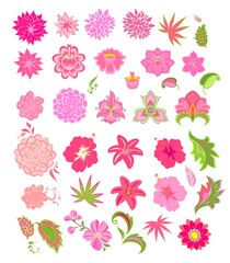 Abstract and tropical pink flowers and decorative leaves set isolated on white background