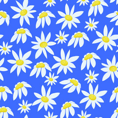 Fototapeta na wymiar Wildflowers, white chamomile on a blue background, seamless pattern. Botanical vector illustration. For paper, covers, fabric, gift wrapping, wall painting, interior decor.