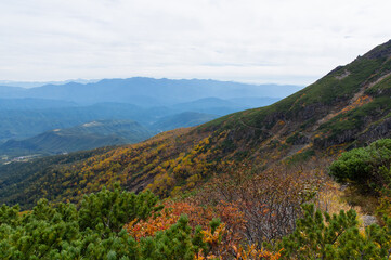 Fototapeta na wymiar 紅葉が美しい御嶽山