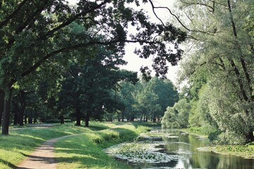 summer in the park