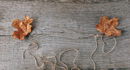 Autumn composition of dry leaves on an old Board