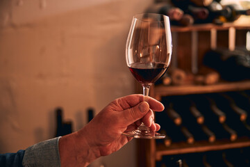 Male sommelier holding glass of red wine