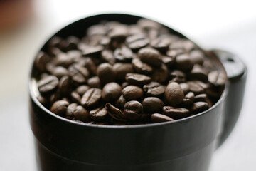 roasted coffee beans in coffee grinder