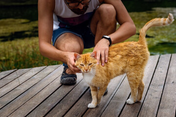 A man is playing with a domestic red tabby cat.