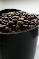 roasted coffee beans in coffee grinder