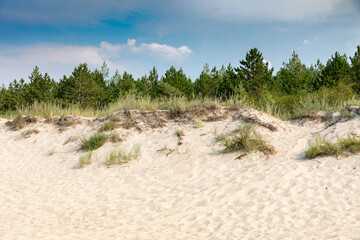 Beautiful dunes on the Baltic Sea