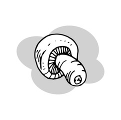 Champignon mushroom vector drawing icon. Retro style drawing.