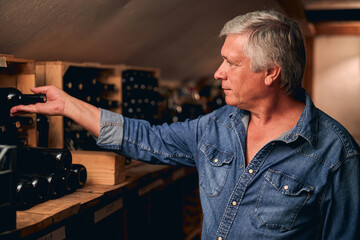 Mature sommelier choosing the best wine for his clients