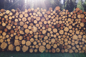 Wood stack in Austrian Alps