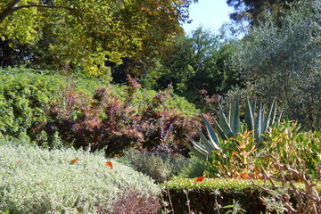 Adelaide Botanic Garden, Australia