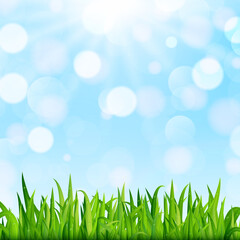 Fototapeta premium Spring or summer nature background with green grass, blue sky and bokeh. Vector illustration