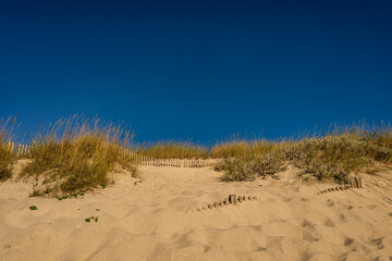 sand dunes in atlantic coastline in north Portugal